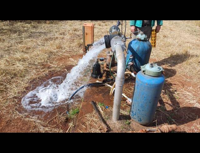 FARM FOR SALE IN LOUIS TRICHARDT